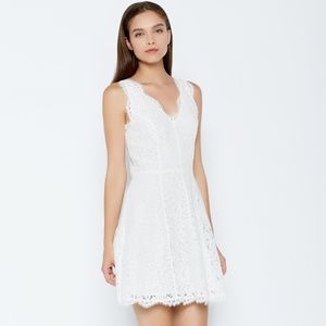 Joie Nikolina White Lace Fit and Flare Dress